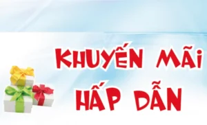 Khuyến Mãi VL88: Cơ Hội Vàng Cho Bet Thủ Việt Nam