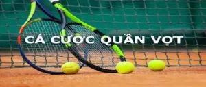 Tìm Hiểu Quần Vợt SODO66 Cơ Hội Vàng Cho Fan Hâm Mộ